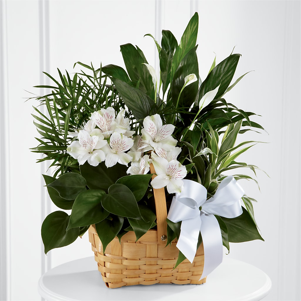 Peace & Serenity Dishgarden – Burlington In Bloom Inc, Burlington IA