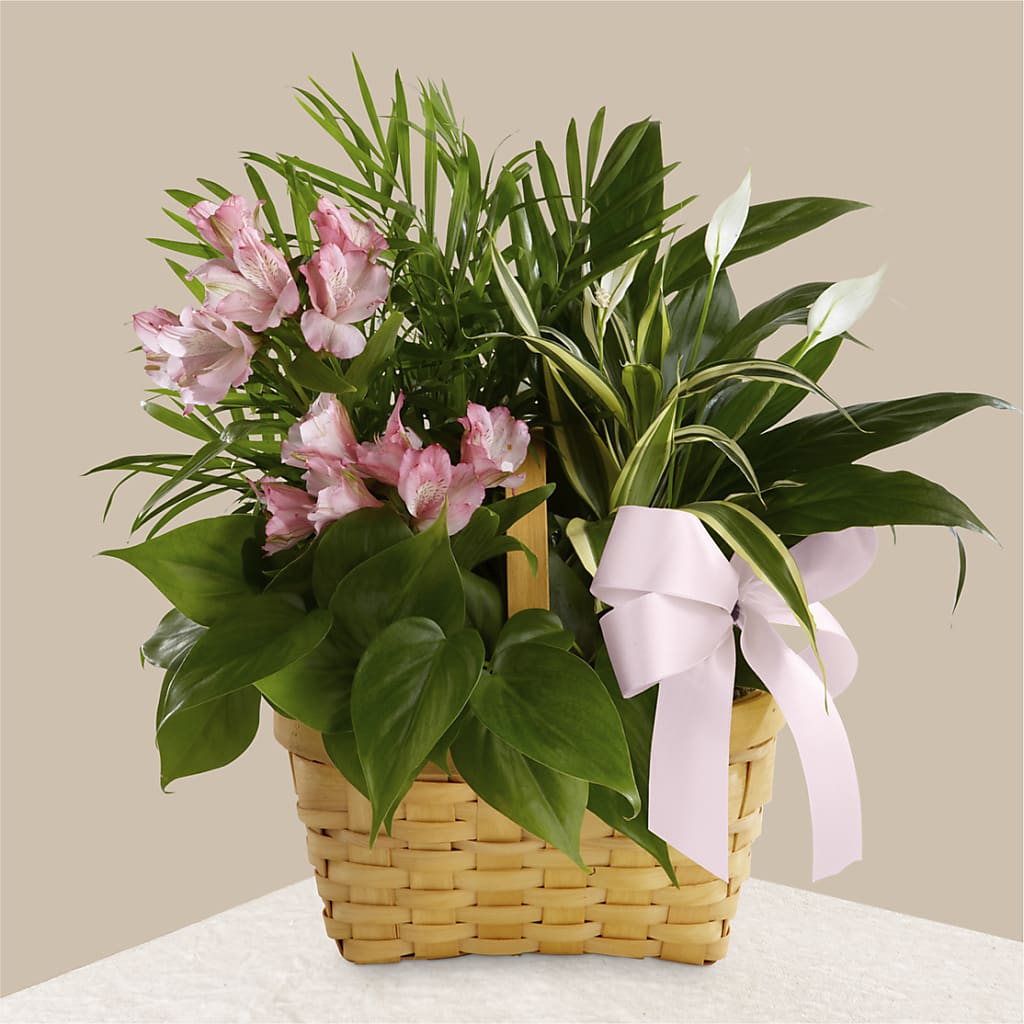 Living Spirit Dishgarden – Burlington In Bloom Inc, Burlington IA
