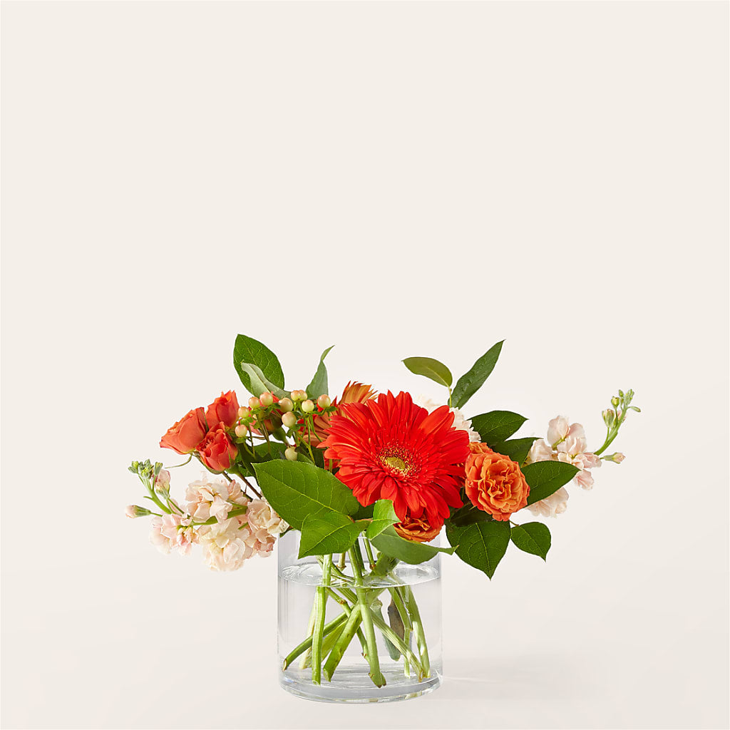Paloma Please Bouquet – Burlington In Bloom Inc, Burlington IA