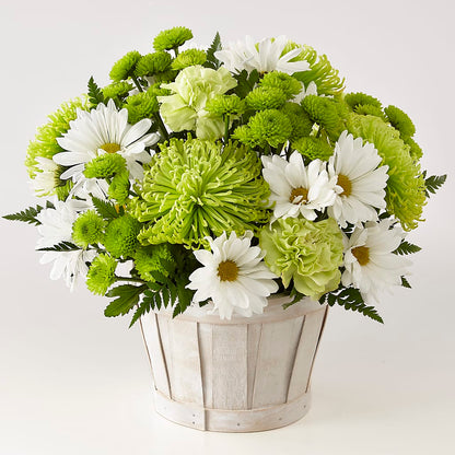 Lucky Charm Basket (Standard) –  Burlington In Bloom Inc, Burlington IA