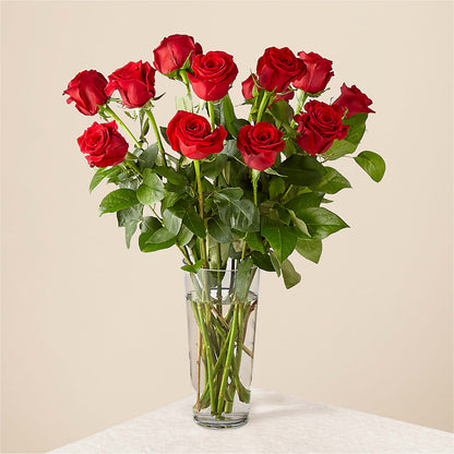 Long Stem Red Rose Bouquet –  Burlington In Bloom Inc, Burlington IA