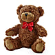 Adorable Plush Bear –  Burlington In Bloom Inc, Burlington IA