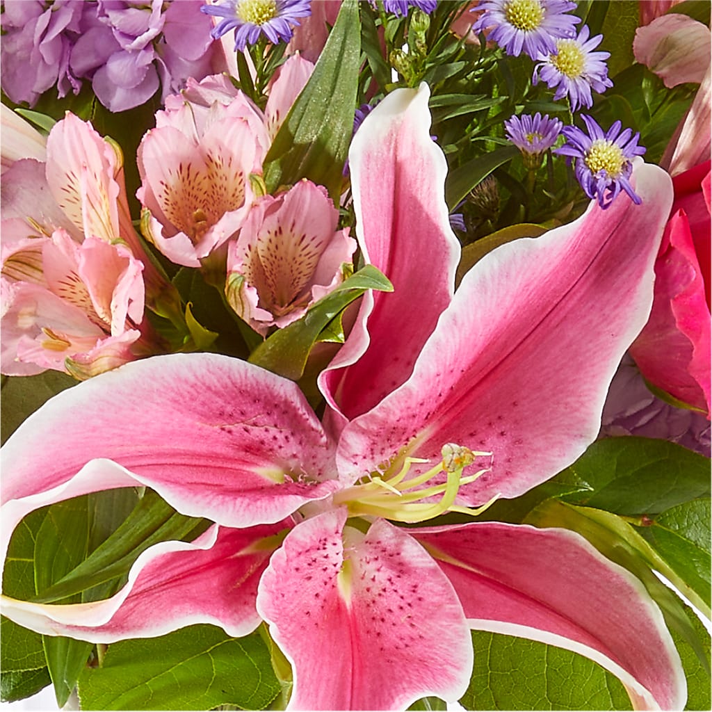 Written in the Stars Bouquet –  Burlington In Bloom Inc, Burlington IA