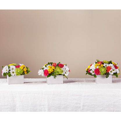 Sorbet Bouquet –  Burlington In Bloom Inc, Burlington IA