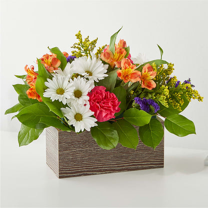 Oopsie Daisy Box Bouquet –  Burlington In Bloom Inc, Burlington IA