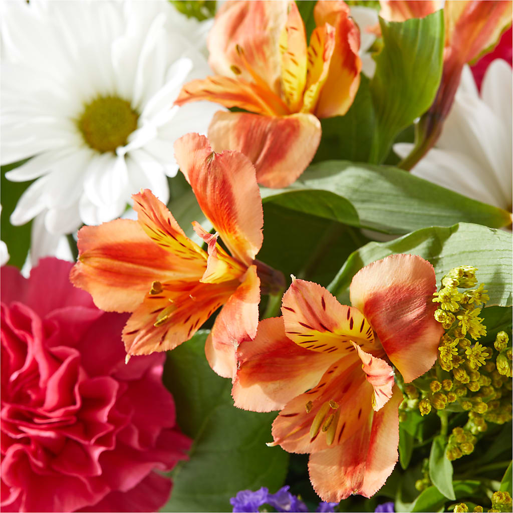 Oopsie Daisy Box Bouquet –  Burlington In Bloom Inc, Burlington IA