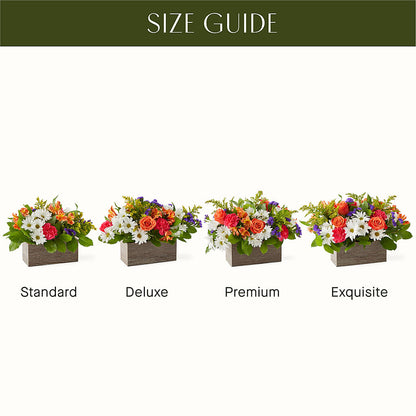 Oopsie Daisy Box Bouquet –  Burlington In Bloom Inc, Burlington IA