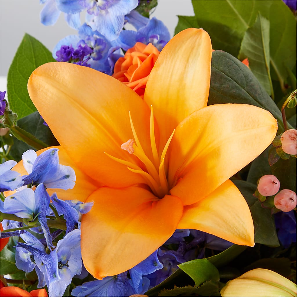 Radiant Citrus Box Bouquet –  Burlington In Bloom Inc, Burlington IA