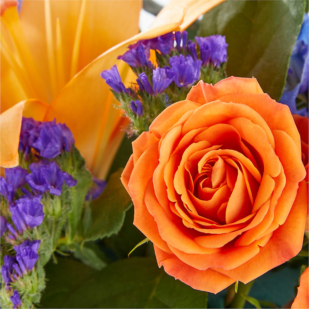 Radiant Citrus Box Bouquet –  Burlington In Bloom Inc, Burlington IA