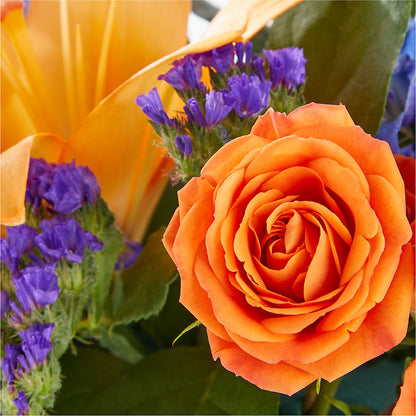 Radiant Citrus Box Bouquet –  Burlington In Bloom Inc, Burlington IA