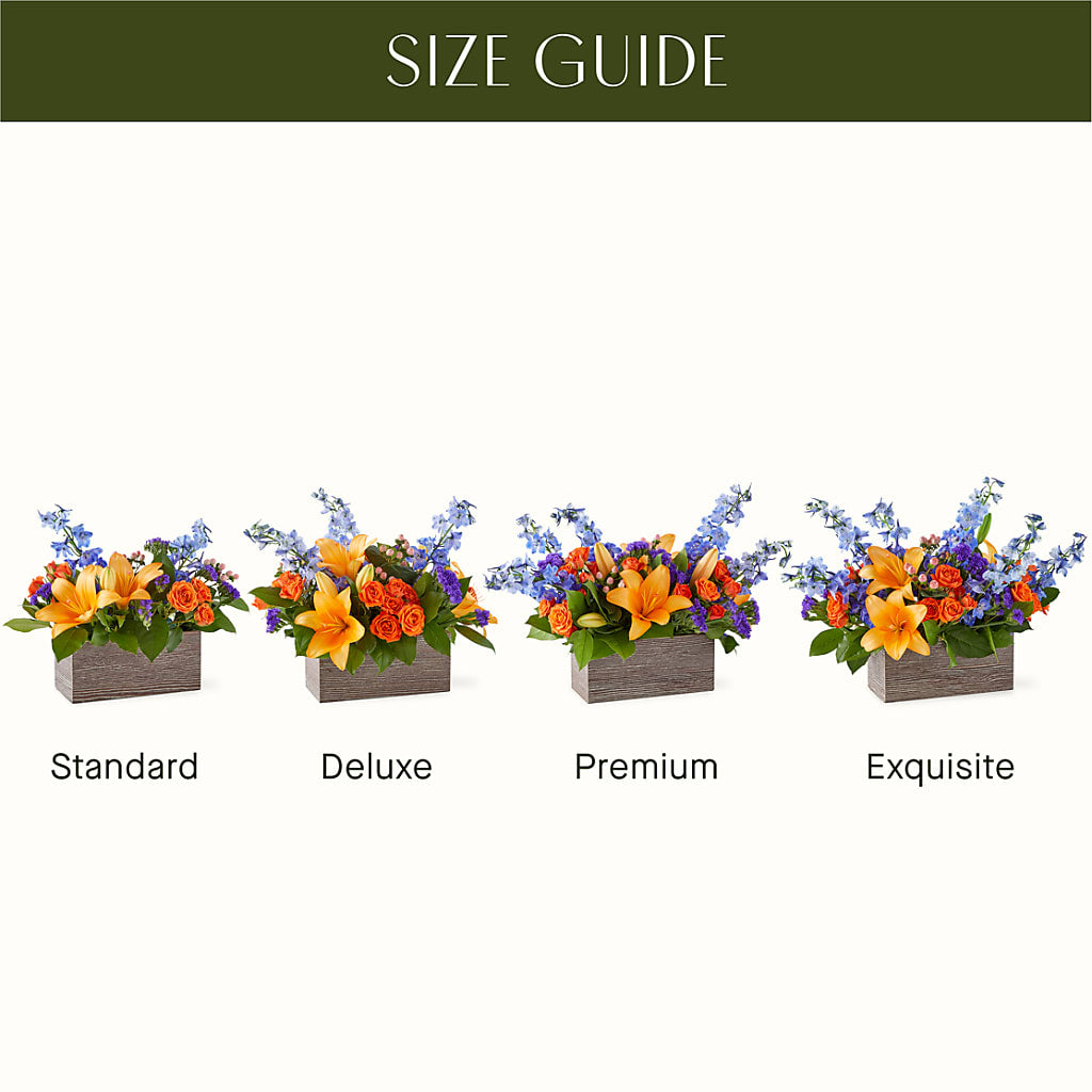 Radiant Citrus Box Bouquet –  Burlington In Bloom Inc, Burlington IA