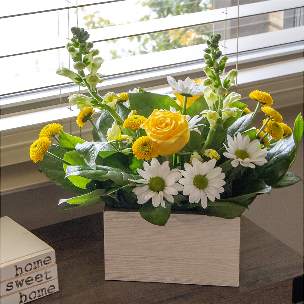 Sun Salutation Box Bouquet –  Burlington In Bloom Inc, Burlington IA