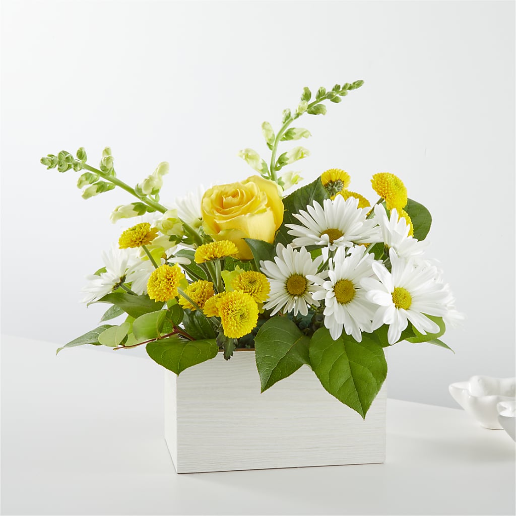 Sun Salutation Box Bouquet –  Burlington In Bloom Inc, Burlington IA