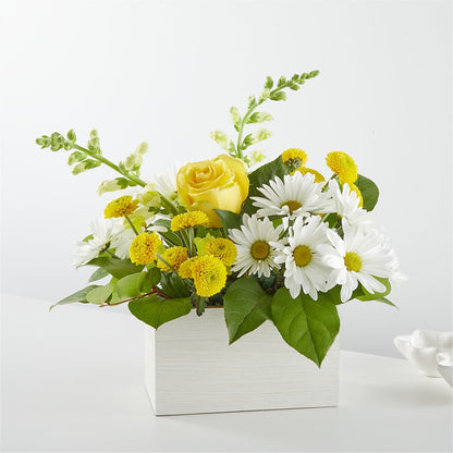 Sun Salutation Box Bouquet –  Burlington In Bloom Inc, Burlington IA