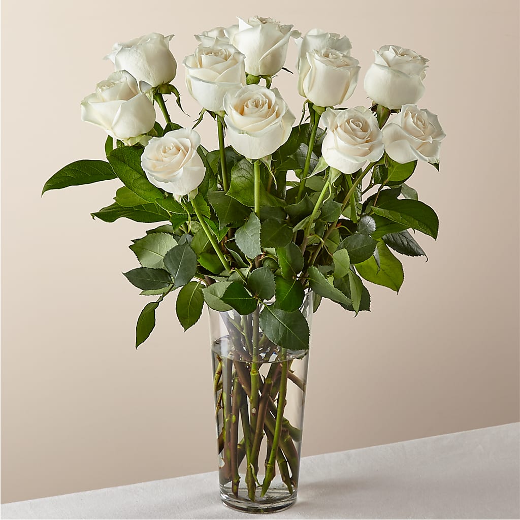 Long Stem White Rose Bouquet –  Burlington In Bloom Inc, Burlington IA