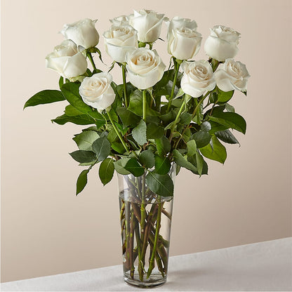 Long Stem White Rose Bouquet –  Burlington In Bloom Inc, Burlington IA
