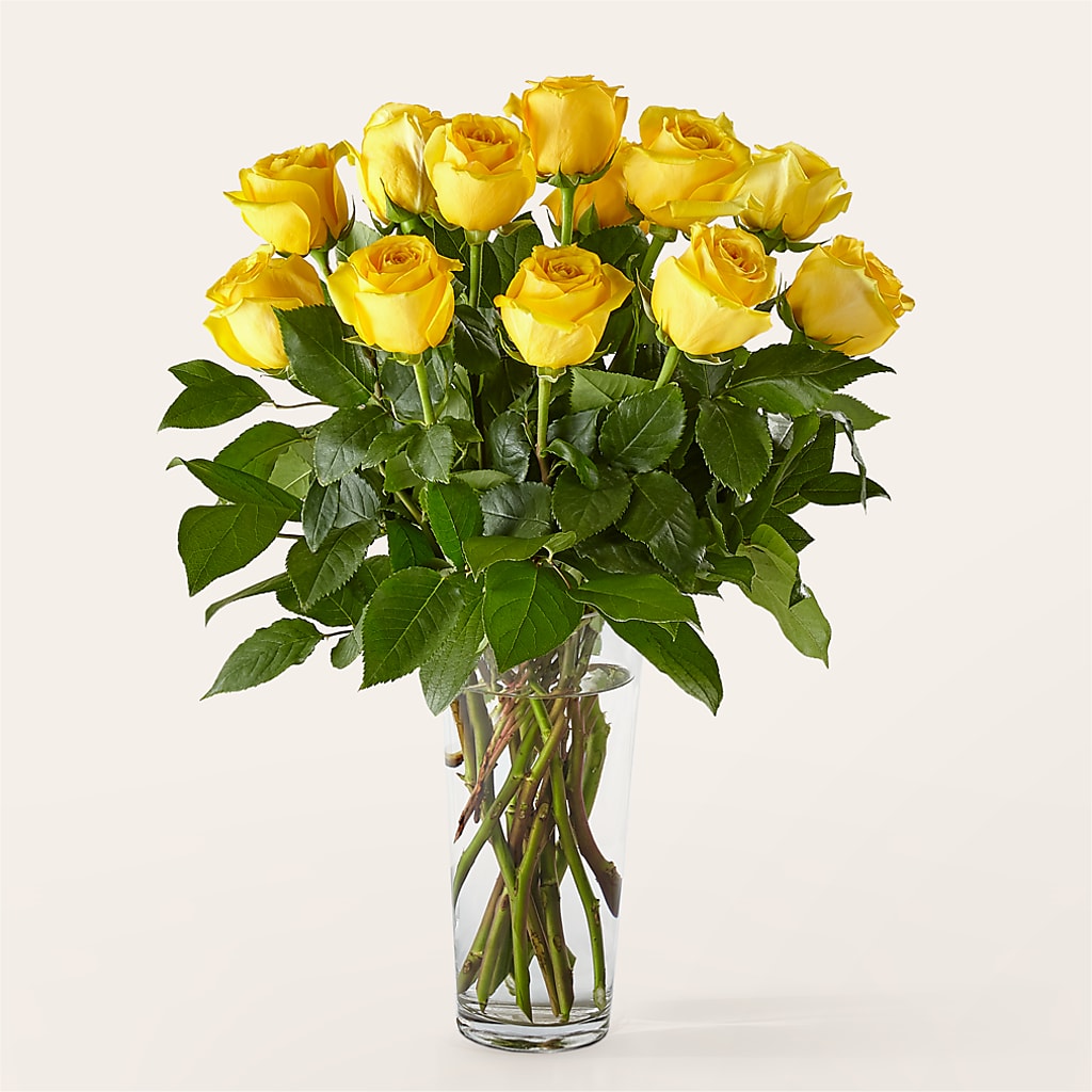 Long Stem Yellow Rose Bouquet –  Burlington In Bloom Inc, Burlington IA