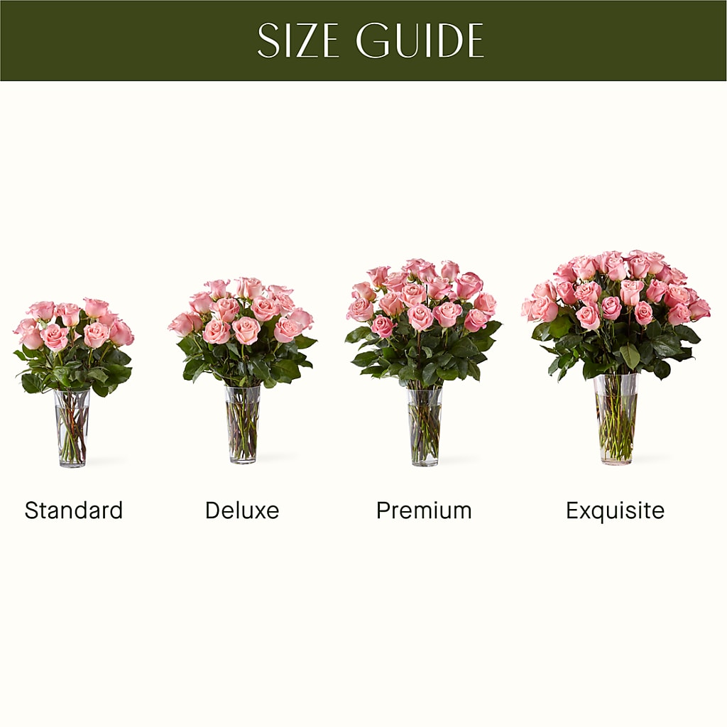 Long Stem Pink Rose Bouquet –  Burlington In Bloom Inc, Burlington IA
