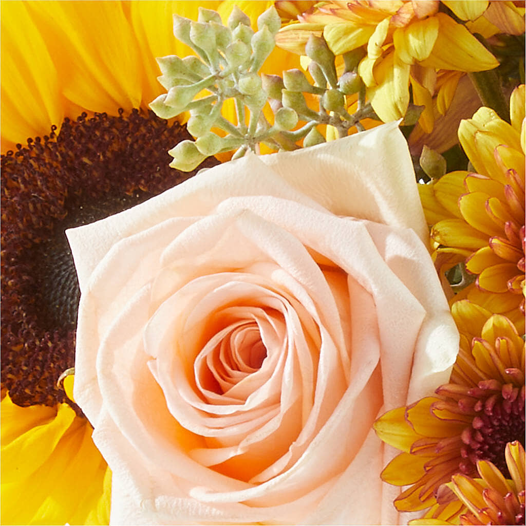 Pumpkin to Talk About Bouquet –  Burlington In Bloom Inc, Burlington IA