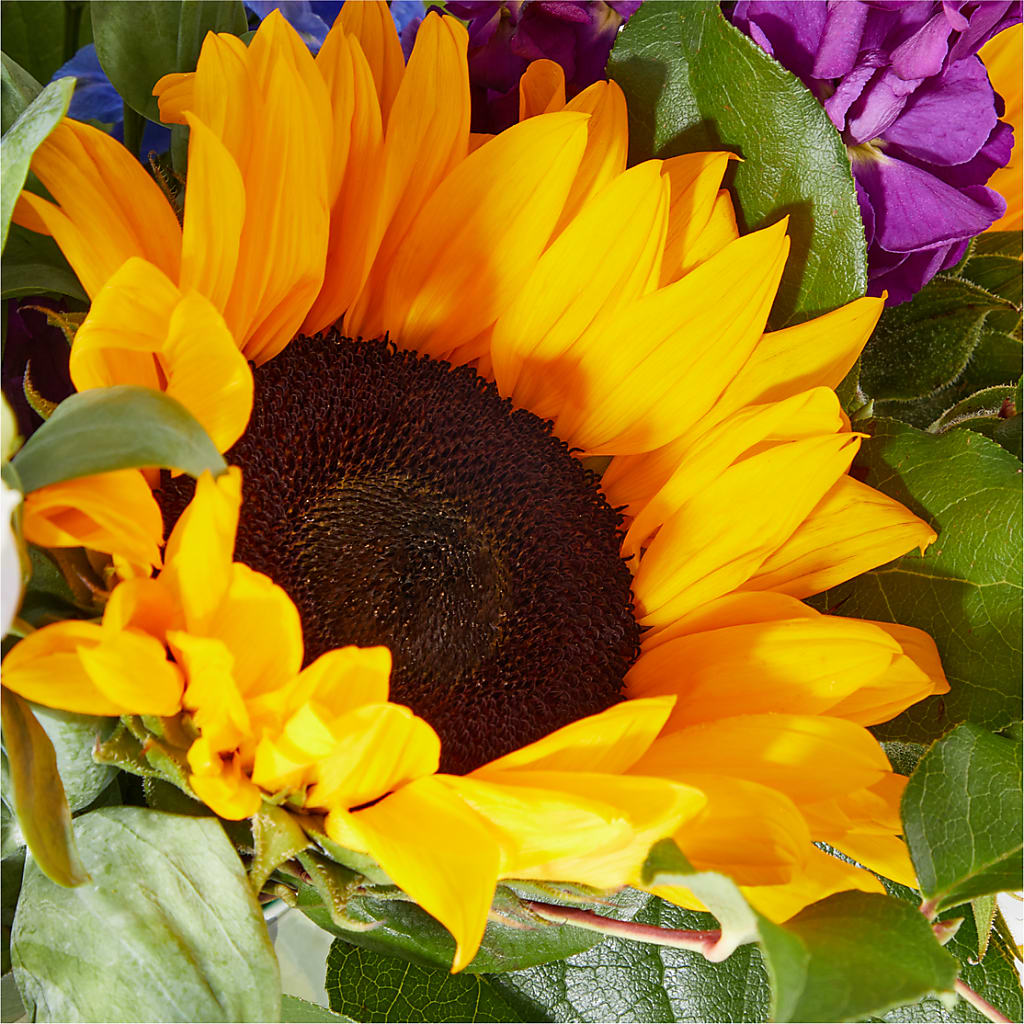 Catching Rays Bouquet –  Burlington In Bloom Inc, Burlington IA
