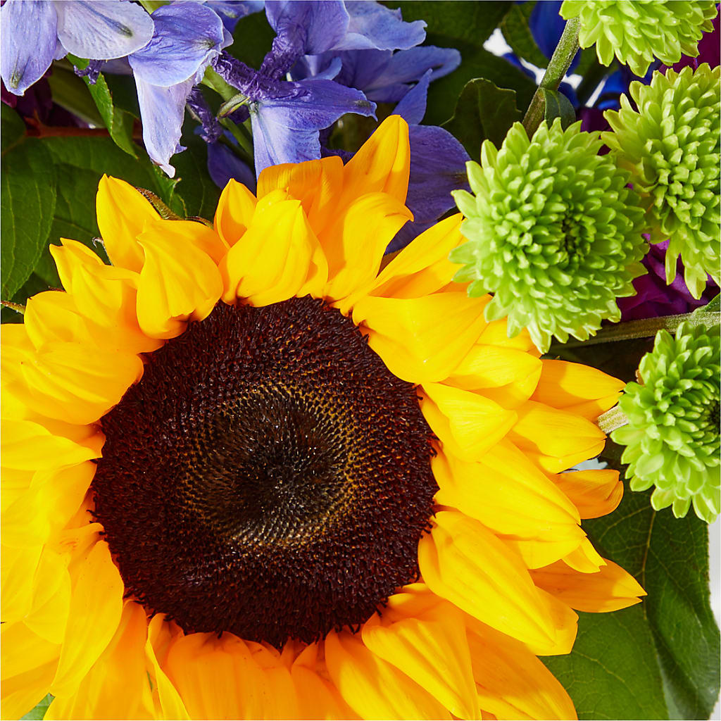 Catching Rays Bouquet –  Burlington In Bloom Inc, Burlington IA