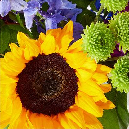 Catching Rays Bouquet –  Burlington In Bloom Inc, Burlington IA