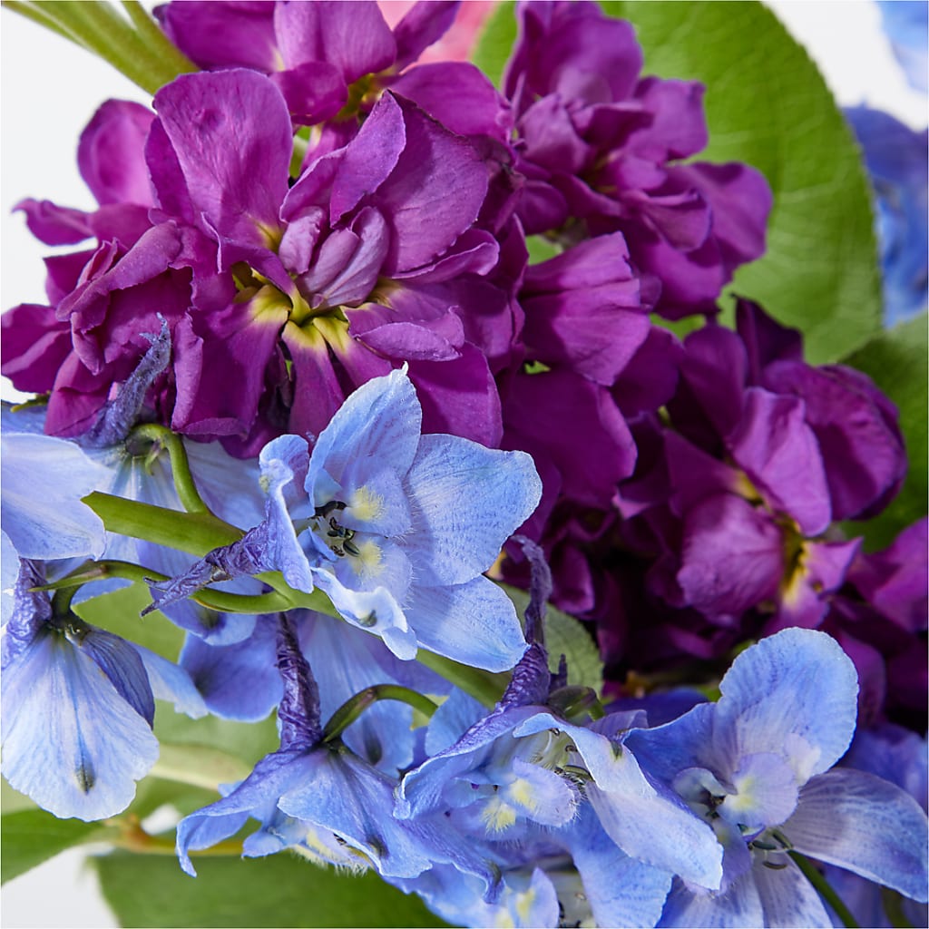 Twilight Glow Bouquet –  Burlington In Bloom Inc, Burlington IA