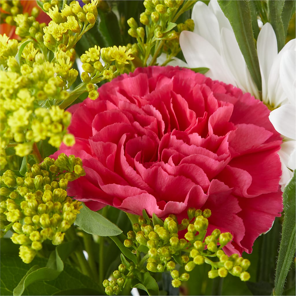 Oopsie Daisy Bouquet –  Burlington In Bloom Inc, Burlington IA