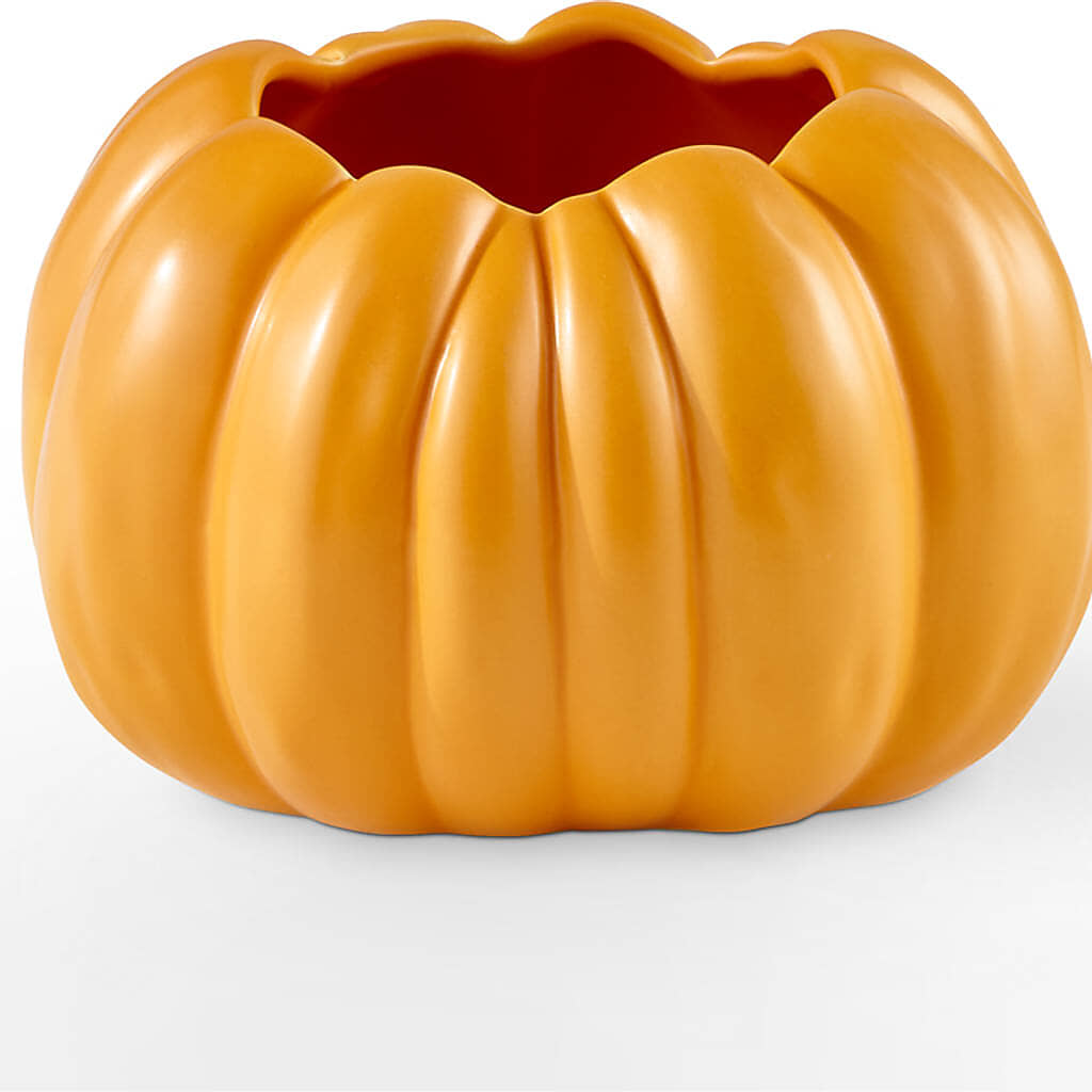 Golden Gourd Pumpkin Bouquet –  Burlington In Bloom Inc, Burlington IA