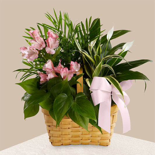 Living Spirit Dishgarden –  Burlington In Bloom Inc, Burlington IA