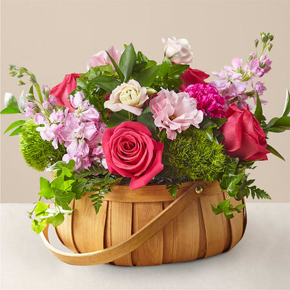 Radiance in Bloom Basket –  Burlington In Bloom Inc, Burlington IA