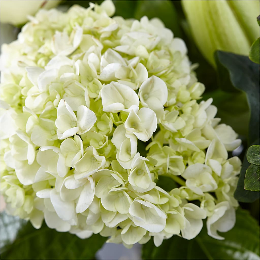 Classic Ivory – A Florist Original –  Burlington In Bloom Inc, Burlington IA