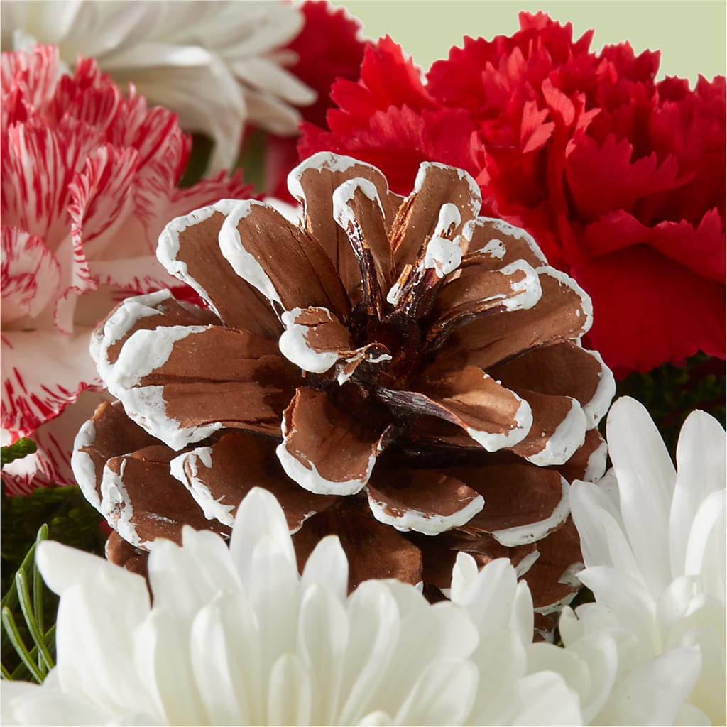 Candy Cane Lane Bouquet –  Burlington In Bloom Inc, Burlington IA