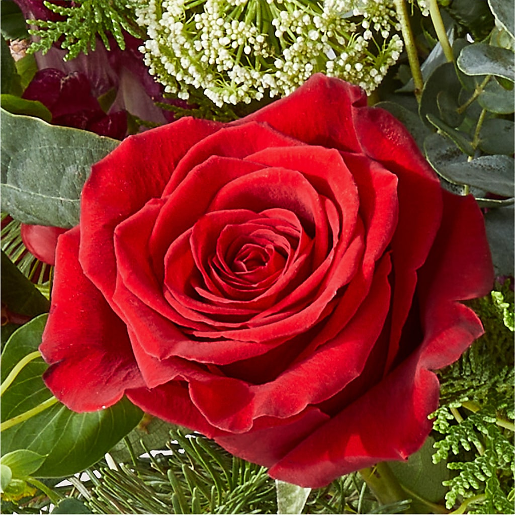 Cranberry Fizz Bouquet –  Burlington In Bloom Inc, Burlington IA