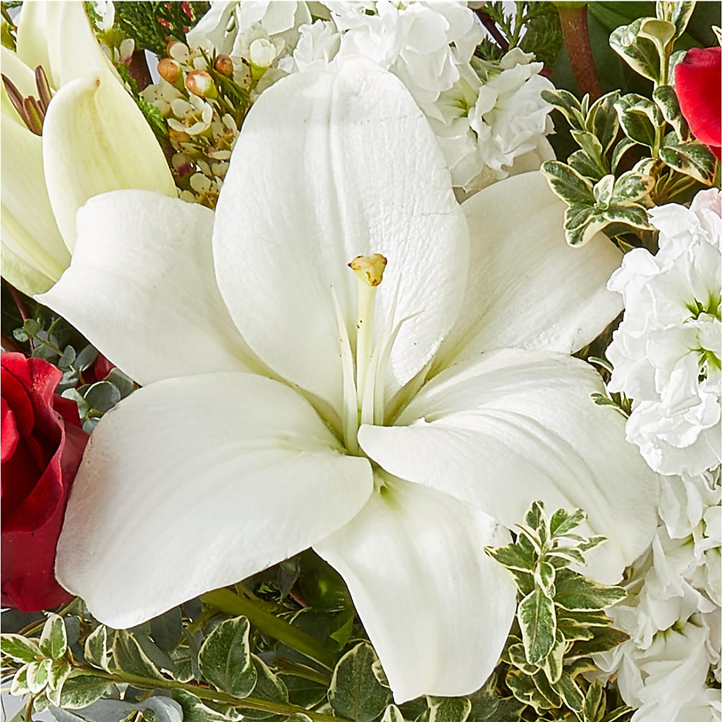 Twinkle Lights Bouquet –  Burlington In Bloom Inc, Burlington IA