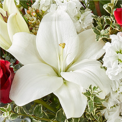Twinkle Lights Bouquet –  Burlington In Bloom Inc, Burlington IA