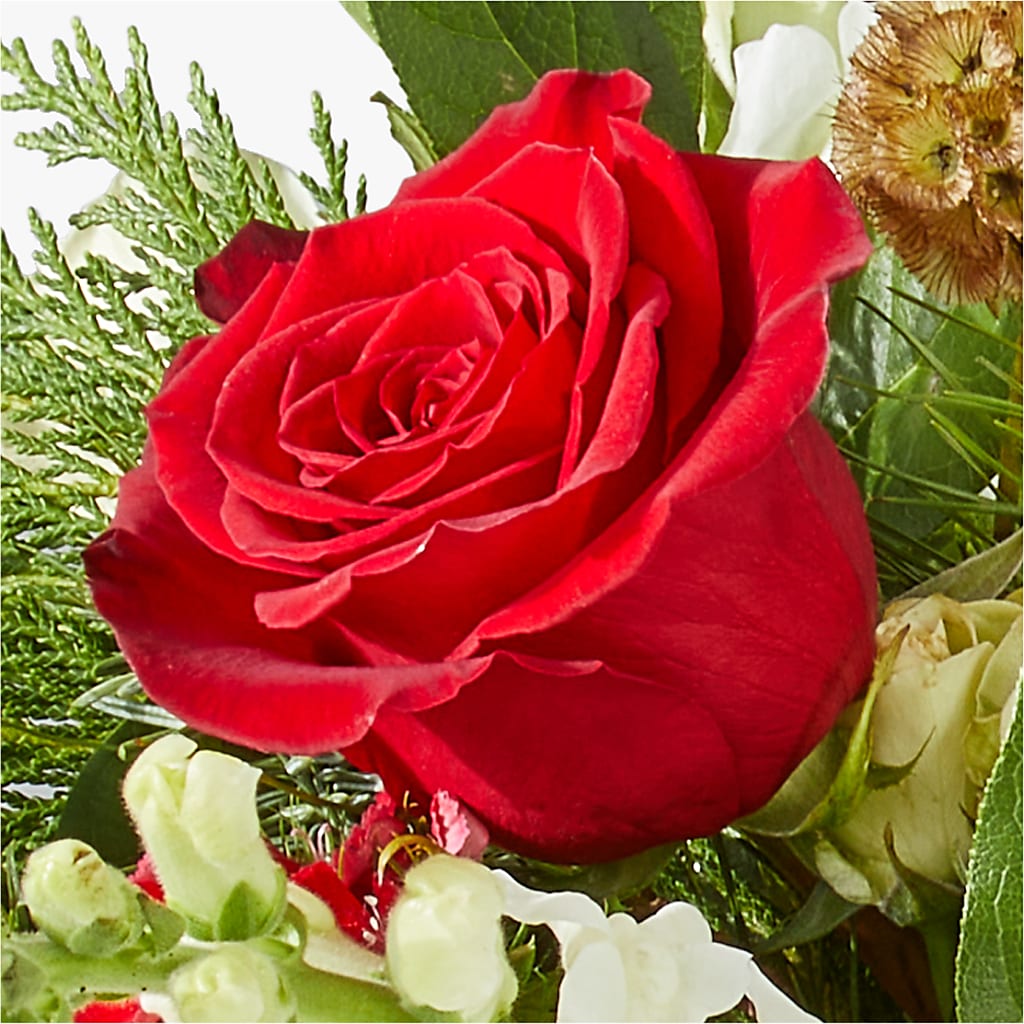 Deck the Halls Bouquet –  Burlington In Bloom Inc, Burlington IA
