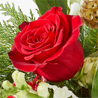 Deck the Halls Bouquet –  Burlington In Bloom Inc, Burlington IA